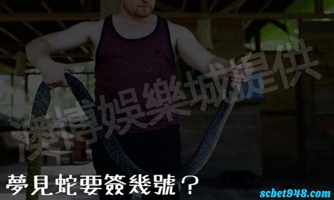 夢見雞是幾號|夢到雞簽幾號？專家解夢：代表這個好運即將到來